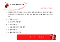 2인자(팔로워)의 리더십-12