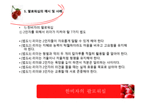 2인자(팔로워)의 리더십-17