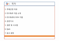 CJ GLS SCM 기법 연구-2