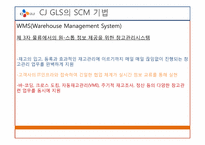 CJ GLS SCM 기법 연구-16