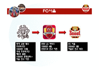 E-Biz 성공사례 -FC서울의 마케팅-6