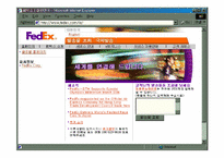 Fedex 페덱스 성공요인 분석-2