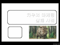 영화 차우의 마케팅실패사례분석-1
