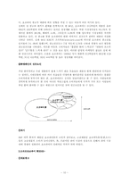 오리온 초코파이 광고효과분석 및 미래 전략-10