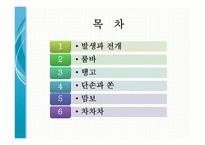 20세기 라틴 리듬 -발생과 전개, 단손과 쏜, 맘보, 차차차, 룸바, 그리고 탱고-2