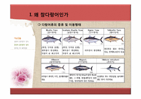 참다랑어 양식 레포트-7