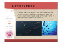 참다랑어 양식 레포트-14