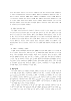 [영화감상문]M.Butterfly(버터플라이,나비부인) 를 보고-2