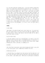 [영상매체론] VJ프로그램의 긍정적인 면과 문제점-6
