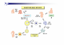 [생명의료윤리] 인간복제에 대한 윤리적인 문제-7