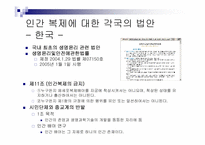 [생명의료윤리] 인간복제에 대한 윤리적인 문제-17