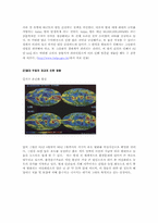[환경문제] 아마존열대우림의 황폐화와 인간이 나아가야 할 길-3