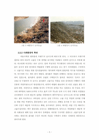 [환경] 난지도에 대해 지역적 시공간적 변화-6