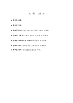 [스페인의문화] 투우에 대해서-2