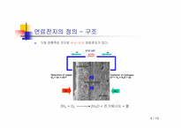 [현대사회와과학] 신에너지와 연료전지-4