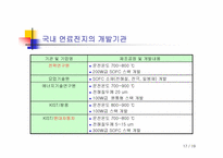 [현대사회와과학] 신에너지와 연료전지-17