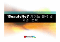 [경영정보시스템] 미샤 `BeautyNet` 웹사이트분석 및 기업분석-1