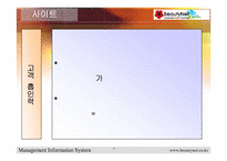 [경영정보시스템] 미샤 `BeautyNet` 웹사이트분석 및 기업분석-12