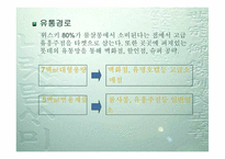 [마케팅](주)롯데칠성 위스키 `스카치블루`의 마케팅전략-18