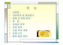 [사업계획서] 생과일 쥬스 전문점-2