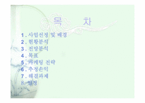 [사업계획서] 테이크 아웃 전문점-2