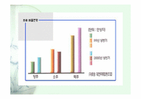 [사업계획서] 테이크 아웃 전문점-5