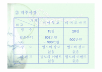 [사업계획서] 테이크 아웃 전문점-8