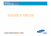 [인터넷비즈니스] 삼성생명 웹사이트분석 및 기업분석, 인터넷보험산업-1