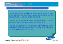 [인터넷비즈니스] 삼성생명 웹사이트분석 및 기업분석, 인터넷보험산업-3