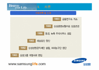 [인터넷비즈니스] 삼성생명 웹사이트분석 및 기업분석, 인터넷보험산업-4