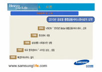 [인터넷비즈니스] 삼성생명 웹사이트분석 및 기업분석, 인터넷보험산업-5