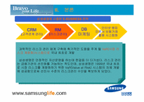 [인터넷비즈니스] 삼성생명 웹사이트분석 및 기업분석, 인터넷보험산업-13