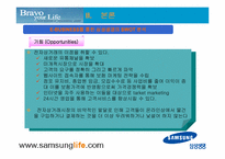 [인터넷비즈니스] 삼성생명 웹사이트분석 및 기업분석, 인터넷보험산업-18