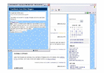 [인터넷비즈니스] 블로그와 웹비즈니스모델-6