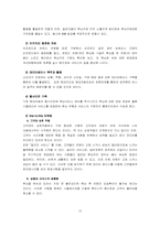 [마케팅] 현대자동차 온라인마케팅기획서-15
