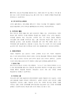 [마케팅] 현대자동차 온라인마케팅기획서-16