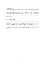 [마케팅] 현대자동차 온라인마케팅기획서-17