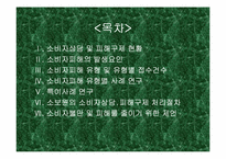 [소비자피해사례] 인터넷쇼핑몰 관련피해사례 분석 및 토의-2