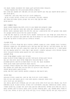 [일본음식문화] 일본의 현대음식문화-10