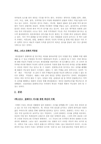 [문학과문화] `퓨전문화`에 대한 분석-2