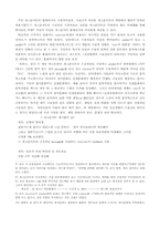 [구술문학론] 구술적 측면에서의 개그콘서트분석-4