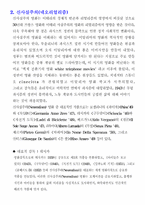 [영화의이해] 이탈리아영화 -신사실주의-2