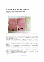 국제 이슈(ISSUE) 조사! 기사내용 토대로 해설,분석-15