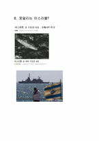 국제 이슈(ISSUE) 조사! 기사내용 토대로 해설,분석-19