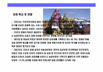 모로코(MOROCCO)의 이해와 시장 진출 전략-5