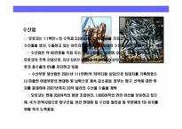모로코(MOROCCO)의 이해와 시장 진출 전략-11