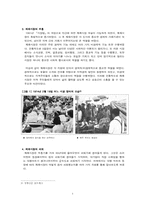 한국에서의 재래시장을 살리기 위한 노력-4