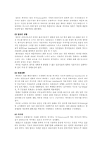 [국제경영] SK커뮤니케이션즈 싸이월드 해외진출전략-9