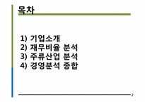 진로 경영분석, 재무제표 분석-2