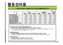 진로 경영분석, 재무제표 분석-13